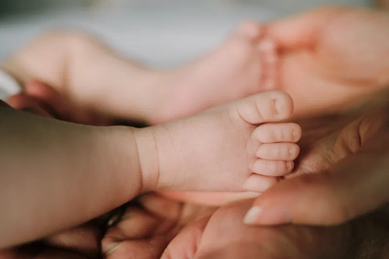 Close-up of a newborn baby’s feet held by a parent